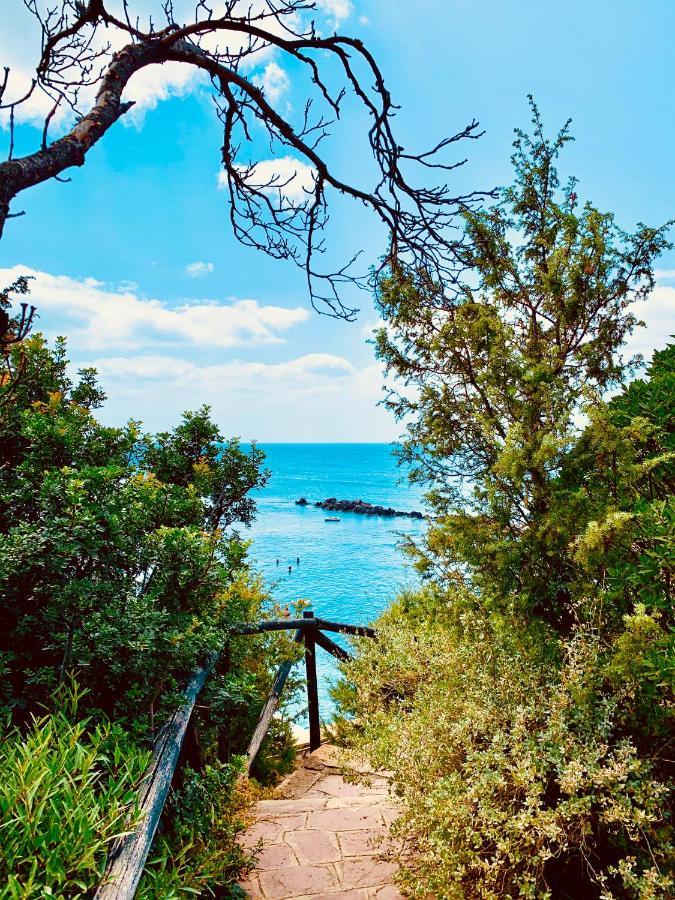 A Vacation On A Private Island Villa Carloforte Kültér fotó